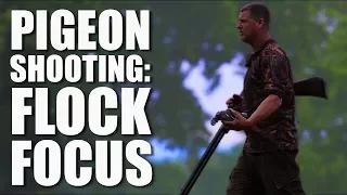 Pigeon Shooting: Flock Focus