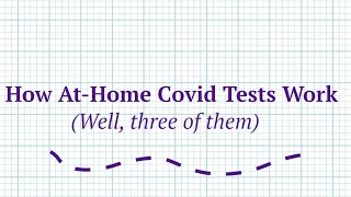 How At-Home Covid Tests Work