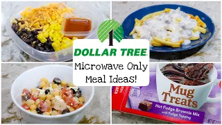 Microwave Only Dollar Tree Meals |  Accessible Meal Ideas | Dorm  Hotel Friendly