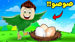 سولوم عصفور ليوم كامل "صوصو" لعبة Roblox !! 🐦🥚