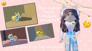 |Туториал| Как найти всех редких котиков в игре |Find the Animals| в Roblox!🤩