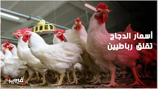 بلغت 23 درها للكيلو.. أسعار الدجاج تحلق من جديد ومواطنون : "تسخينات رمضانية"
