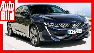 Peugeot 508 (2018) Erste Fahrt / Details / Review