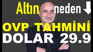 OVPye göre dolar bu yıl 29.9, 2024'te 43 TL