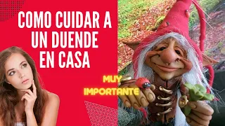 COMO CUIDAR UN DUENDE EN CASA