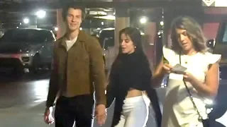 Shawn Mendes Shares His Gratitude For Our Videographer During Date Night With Camila Cabello