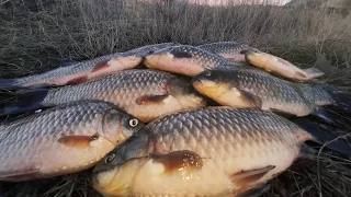 Ловлю ОГРОМНЫХ КАРАСЕЙ на БОКОВОЙ КИВОК в феврале с лодки..