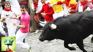 Бег с Быками The running of the Bulls