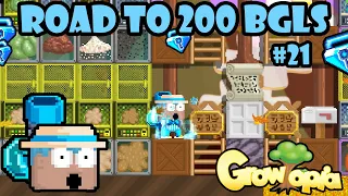 OVER 10 BGLS PROFIT THIS WEEK!! 🤑 | Road To 200 BGLS #21 | GrowTopia Profit 2024