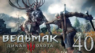 Ведьмак 3: Дикая Охота (The Witcher 3: Wild Hunt). РАСПУТЫВАЯ КЛУБОК, ЧАСТЬ 1. # 40