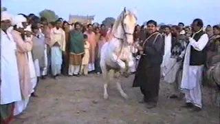 horse dance mala ghulam shah owner hassan raza peerzada sawar