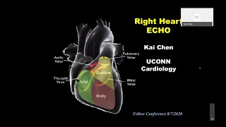 Right Ventricle (Kai Chen, MD, PhD)