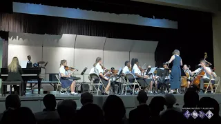 HELLENIC ACADEMY STRING ORCHESTRA -'Music from Frozen'