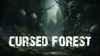 2 Hours of Immersive Dark Forest, D&D, Rain Ambient - Path through the Cursed Forest