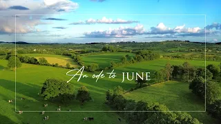 A Day in my Life | Irish Farmhouse | Artist Studio Tour | Tea Break | Irish Cottage Garden in June