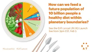 The Diet of the Future - EAT-Lancet UN Launch