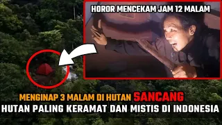 CAMPING HOROR: SENDIRI MENGINAP DI HUTAN PALING ANGKER DI INDONESIA ~ HUTAN MAUNG SANCANG