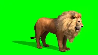 Free green screen video, visual effects, animals cartoon, hd, 4k,3d animation, animals, lion,CGS