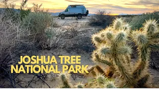 Joshua Tree National Park