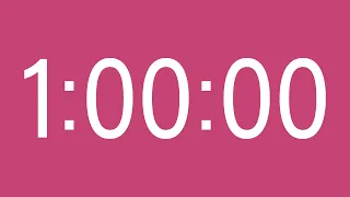 1 Hour Timer - 1 Hour Countdown – Fuchsia Rose Screen 4K