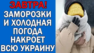 ПОГОДА НА 21 ОКТЯБРЯ : ПОГОДА НА ЗАВТРА