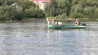 Один процент Национальной команды Республики Беларусь по гребле на байдарках и каноэ