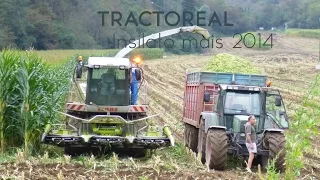 | TRACTOREAL | Insilato di mais con CLAAS Jaguard 890