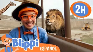 Blippi va al Zoo! 🦁 Aprende con Blippi | @BlippiEspanol  | Moonbug Kids Parque de Juegos