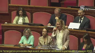 Elena Sironi - Intervento aula Senato - 27/07/2023