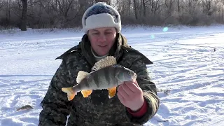 Зимняя рыбалка в Павлодаре. КРУПНЫЙ ОКУНЬ НА БЕЗМОТЫЛКУ. Рыбачим в затоне. #рыбалка #павлодар #лед