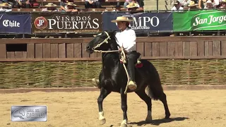 Final movimiento a la rienda, Rancagua 2019