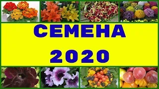 ЭТИ СЕМЕНА БУДУ СЕЯТЬ В 2020 ГОДУ