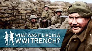 24 Hrs In The Trenches (WW1 Documentary)