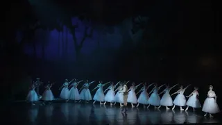 Giselle - Hilarion's Death (extract) | Armando Barros | Joburg Ballet