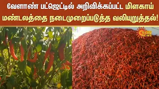 Chilli | வேளாண் பட்ஜெட்டில் அறிவிக்கப்பட்ட மிளகாய் மண்டலத்தை நடைமுறைப்படுத்த வலியுறுத்தல்! | SunNews