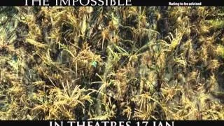 The Impossible Official Trailer