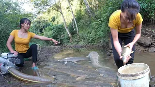 Harvest a Lot Of Fish By The Pump That Sucks Water out of the wild lake - Go To The Village Sell