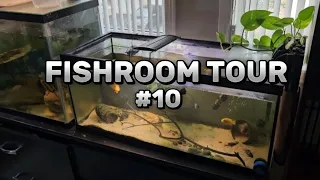 FISHROOM TOUR #10