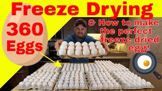 Freeze Drying 360 Eggs🍳 & How to make the Perfect Freeze Dried Egg!