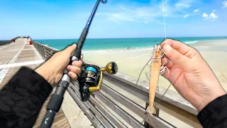 Fishing the PIER! Eating Whatever I Catch.. (Catch and Cook)