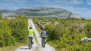 "Wild Ireland": The Burren in Spring, County Clare, Ireland