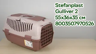 Розпаковка Stefanplast Gulliver 2 55 х 36 х 35 см з пластиковими дверима (8003507970526)