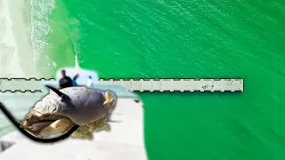 Pier Fishing Using Live Sand Fleas! Bait Gets Crushed Every Cast