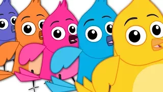 Five Little Birds | Children's Nursery Rhymes | Bird Song | Kids Tv Nursery Rhymes