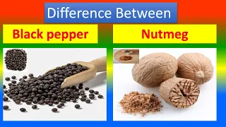 Differences Between Medical And Health Benefits Of Black pepper and  Nutmeg