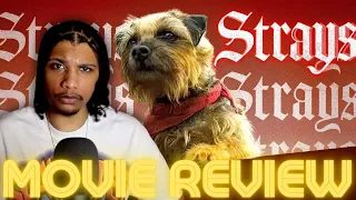 STRAYS - MOVIE REVIEW! | Worst Film of 2023?!