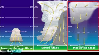 Aviation Weather-Thunderstorm Life Cycle and your Airplane