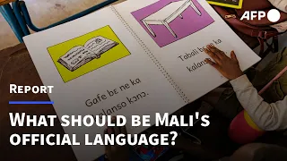 Debate on Mali's official language sparked by constitution draft | AFP