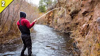 Small Creek Fishing for Brown Trout || Fly Fishing Colorado Pt 2