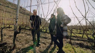 Preview: WineMasters Germany, Baden (S4E2)